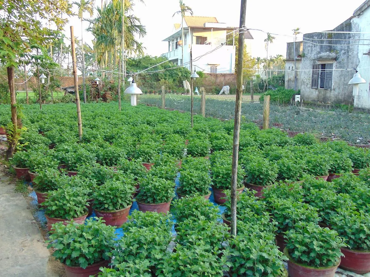 ** Nocleg ze śniadaniem Flower Village Hoi An Wietnam