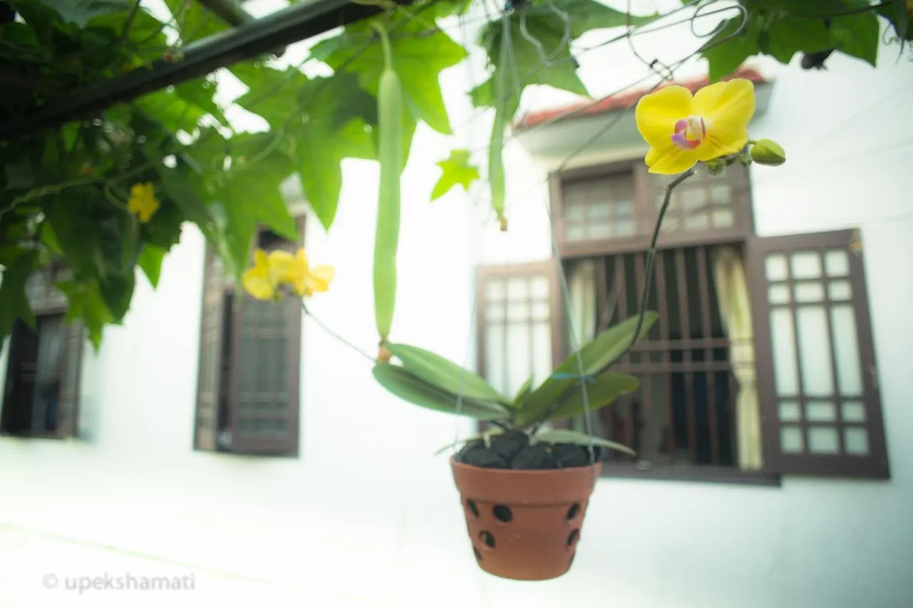 Flower Village 호이안 B&B