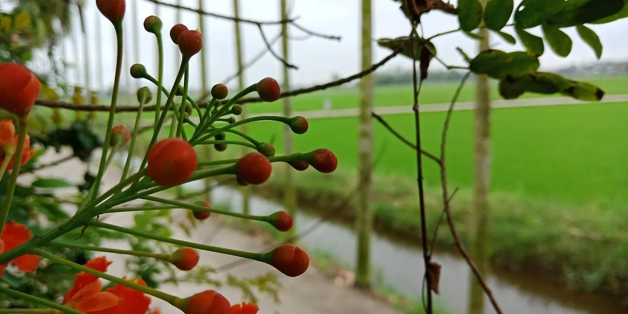 B&B Flower Village 호이안